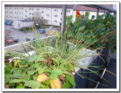 Oktober 08 Oktober 08