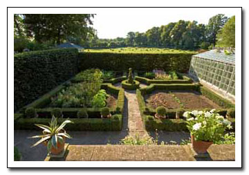 Renässansträdgård Renässansträdgård